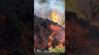 Which Type of Lava Flow is Fastest [upl. by Koosis437]