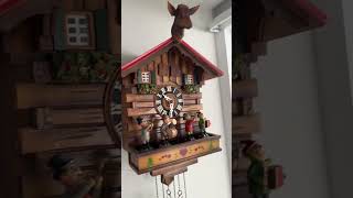 Cuckoo clock band [upl. by Haldis]