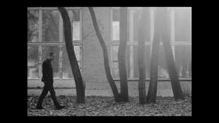 Max Richter The Twins Prague [upl. by Healion]