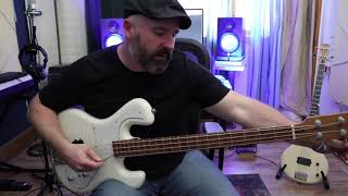 BadFish Bass Demo with MJS Custom Humbucker [upl. by Avehs]