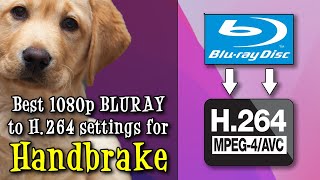 Best Optimal Settings to Convert Bluray 1080p Video to H 264 in Handbrake on Windows amp Mac in 2023 [upl. by Nazario56]