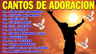 PODEROSAS CANCIONES CRISTIANAS PARA LIBERAR TU MENTE Y EL CORAZÓN 🕊️🕊️ SUPE QUE ME AMABAS 🙏🙏 [upl. by Deppy95]