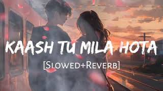 Kaash Tu Mila Hota  lofi slowed amp reverb  New Song  Trending Song [upl. by Careaga]