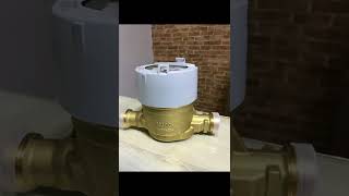 V200 Elster Honeywell Water Meter [upl. by Edurtreg]