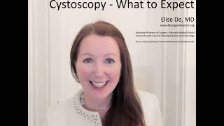 What is Cystoscopy Explained by Elise De MD [upl. by Neville135]