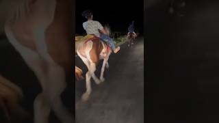 Horse rewal chal race 😱 KUDVA VALA GHODA 😱 GHODA NA SOKHIN 😍 horse [upl. by Deraj]