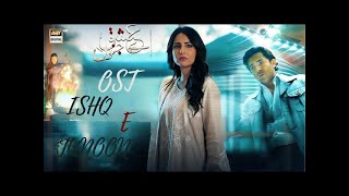 Aye Ishq e Junoon OST  Rahat Fateh Ali Khan  Sheryar Munawar  Ushna Shah [upl. by Nairbal913]