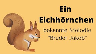 EIN EICHHÖRNCHEN  für Erzieher amp Pädagogen sprachförderung eichhörnchen emp mfe [upl. by Gower993]