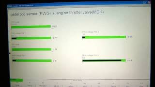 Inpa BMW 530i E39 All Functions Explained [upl. by Bennir]