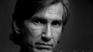 Townes Van Zandt  To Live Is To Fly live [upl. by Latif]