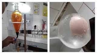 Preparation of Tribromophenol  Chemistry Practical  BSc Buddies [upl. by Eelitan]