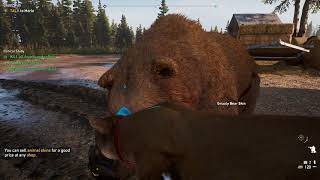 Far Cry 5 Get 2nd Undamaged Grizzly Bear Skin from Farm [upl. by Lrub]