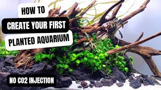 HOW TO CREATE YOUR FIRST PLANTED AQUARIUM WITH HINTS AND TIPS  LOW ENERGY WITH NO CO2 INJECTION [upl. by Enirhtac]