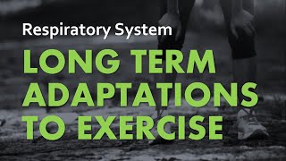 Adaptations to Exercise  Respiratory System 07  Anatomy amp Physiology [upl. by Kery]