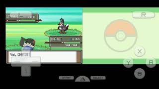 Pokemon Chatot screams AMONG US [upl. by Shamus]