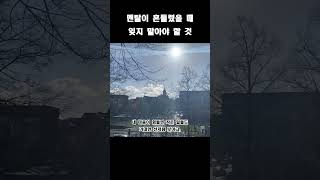 멘탈이 흔들렸을 때 잊지 말아야 할 것  으라차차 꽉형  Short 1분명언 1분명상 [upl. by Pears]