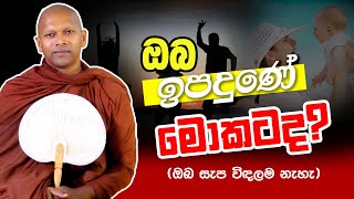 ඔබ ඉපදුණේ මොකටද  Ven Handapangoda Nivathapa Himi [upl. by Lemhaj]