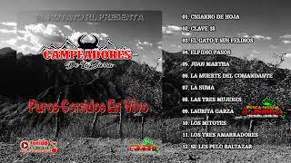 Campeadores De La Sierra  Puros Corridos En Vivo 2024 [upl. by Marilee688]