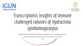 Transcriptomic Insights of ImmuneChallenged colonies of Hydractinia symbiologicarpus [upl. by Leona]