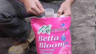 How to feed citrus using Munns Betta Bloom Fertiliser  with Anthony Scott [upl. by Eimia]