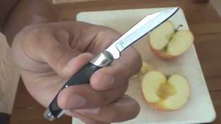 Buck 309 Companion Knife  Affordable American Quality [upl. by Odnamla]