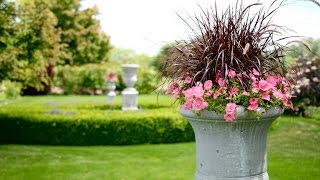 Planting My Backyard Urns [upl. by Rodi]