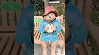 I found Paddington fyp foryoupage paddingtonbear paddingtonbear3 [upl. by Nats]