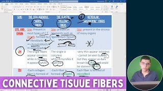 NEW COURSE 2022 Connective tissue Fibers  Histology [upl. by Llebyram]