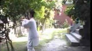 wudang taichi 13shi [upl. by Lexerd]