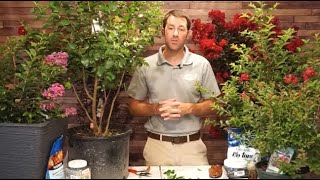 Crepe Myrtles with the Garden Guru  Care and Maintenance [upl. by Eboh]