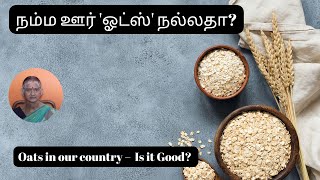 Oats in our country – Is it Good [upl. by Ycats]