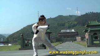 Wudang Kungfu  Weekly Evaluation Vid 2 [upl. by Ahsenek792]