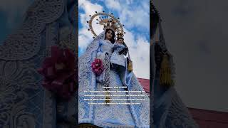 December 10th of 2023 The 29th Taguig Grand Marian Procession 1 [upl. by Fauman]