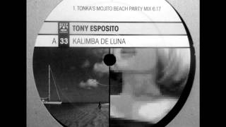 tony esposito  kalimba de luna dj tonka mix [upl. by Peednas]