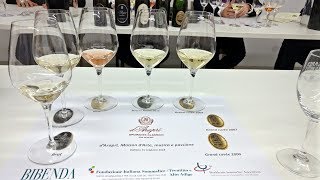 Spumante Cantina dAraprì  Degustazione Gran Cuvée XXI Secolo 2009 FIS TAA [upl. by Gerik258]