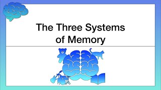 Types of Memories amp Storing Memories AP Psychology Unit 5 Topic 3 53 [upl. by Amlet511]