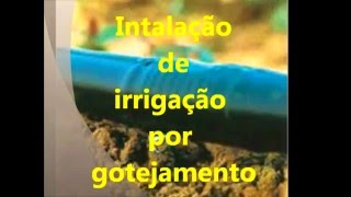 irrigação localizadagotejamento Como montar uma irrigação por gotejamentolocalizada [upl. by Lashonda]