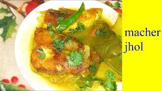 Fish Curry Recipe  পাতলা মাছের ঝোল  bengali style maacher jhol recipe [upl. by Novak]