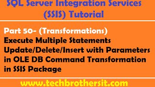 SSISOLE DB Command Update Data [upl. by Cantu900]