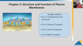 BIOL201 Ch51  Components and Structure Plasma Membrane [upl. by Xenia]