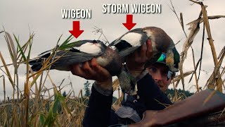 HIGDON OUTDOORS TV  805  quot Storm Wigeonquot [upl. by Arak]