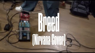 Nirvana  Breed Cover [upl. by Emearg575]