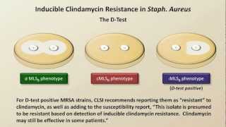 Antibiotic Resistance Antibiotics  Lecture 9 [upl. by Aihsile]