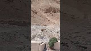 Masada Heights Israel [upl. by Obidiah]