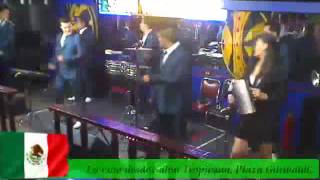 Nery Pedraza y los Guaraperos CUMBIA PICAFLOR [upl. by Ahsikat484]