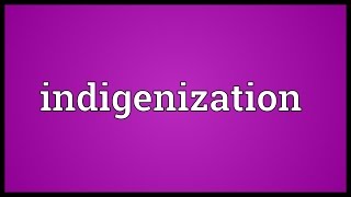 Indigenization Meaning [upl. by Clarence343]