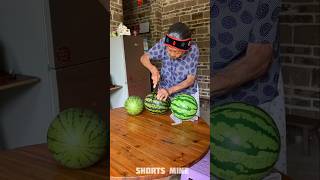 Fake Watermelon Prank 😂  New Viral Gadgets Smart Appliances Kitchen Utensils Home Inventions [upl. by Claudina926]