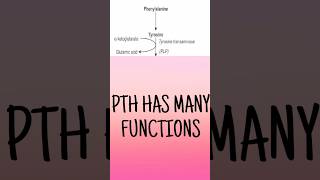 Phenylalanine catabolism mnemonic  Phenylalanine catabolism outline made easy biochemistryshorts [upl. by Steep]