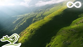 The Hidden Valley Ambient Relaxing Music for Stress Relief Sleep amp Meditation [upl. by Atnwahs924]