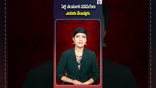 పెళ్లి తంతులో ఏడడుగులు ఎందుకు వేయిస్తారుy8tvnews latestnews viralvideo telugu marraige 2m [upl. by Eelan]